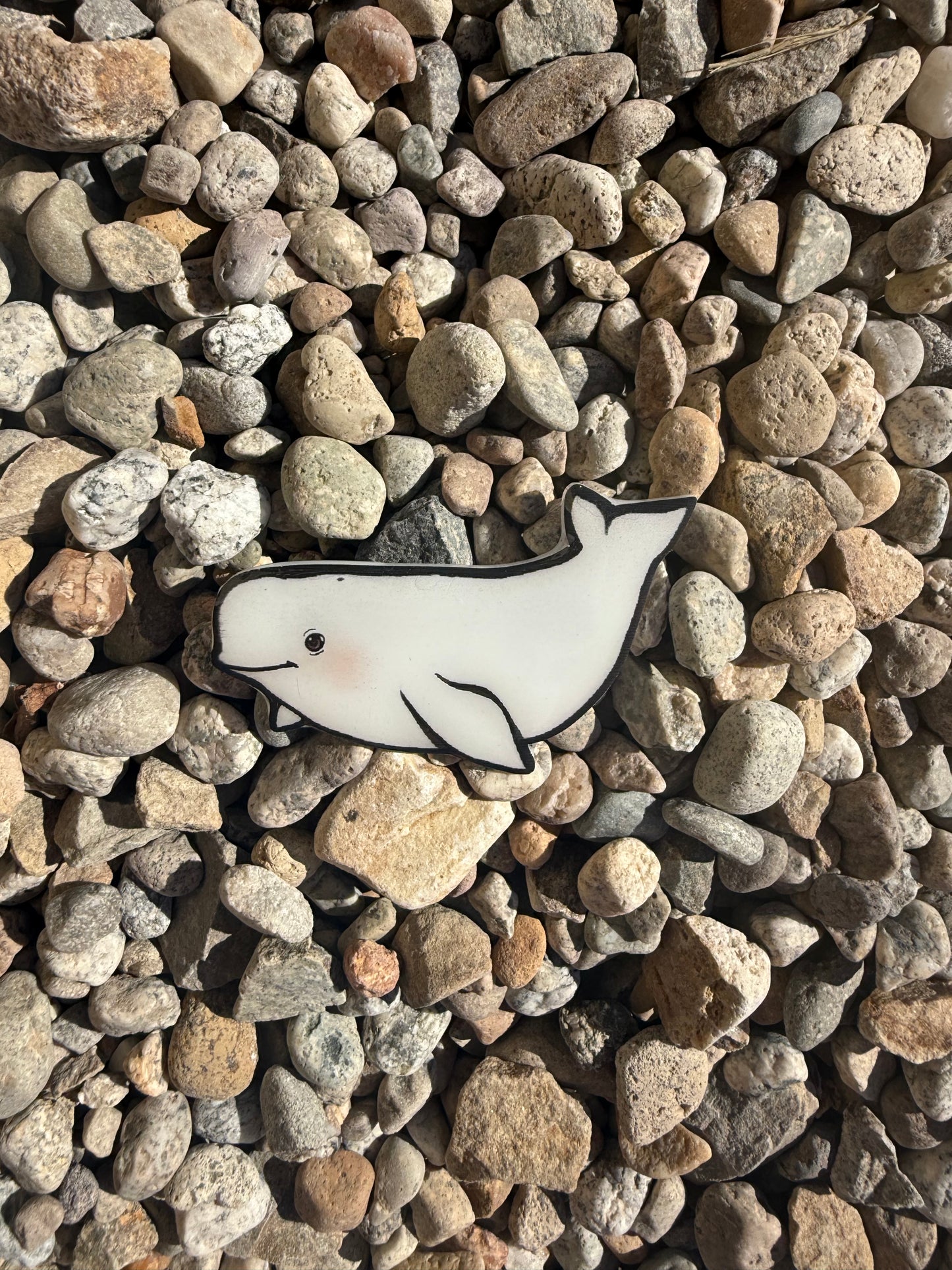 Beluga Whale Magnet