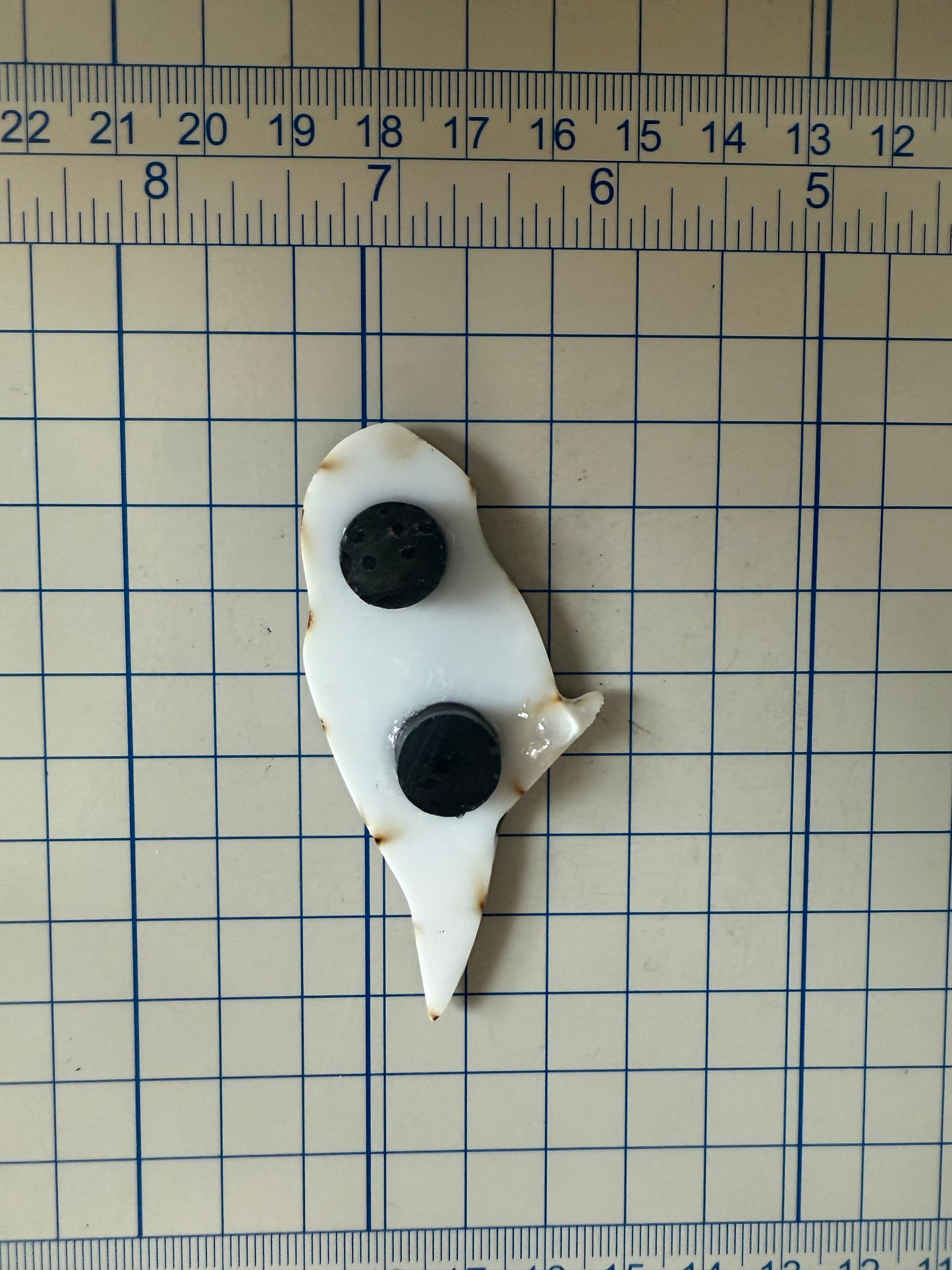 Handcrafted Green Cheeked Conure Magnet