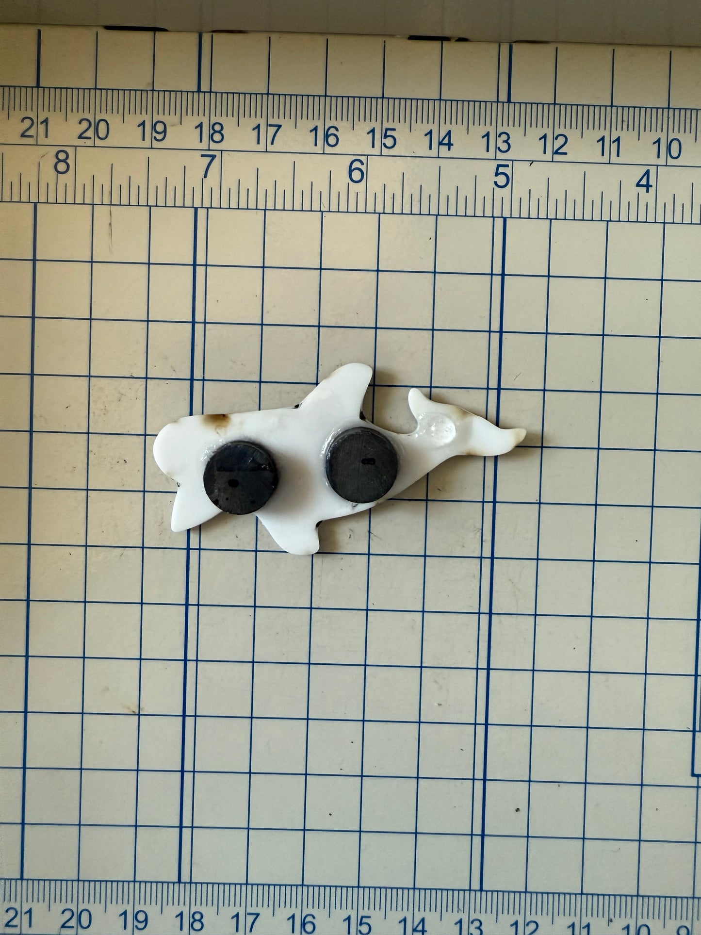 Orca Killer Whale Magnet