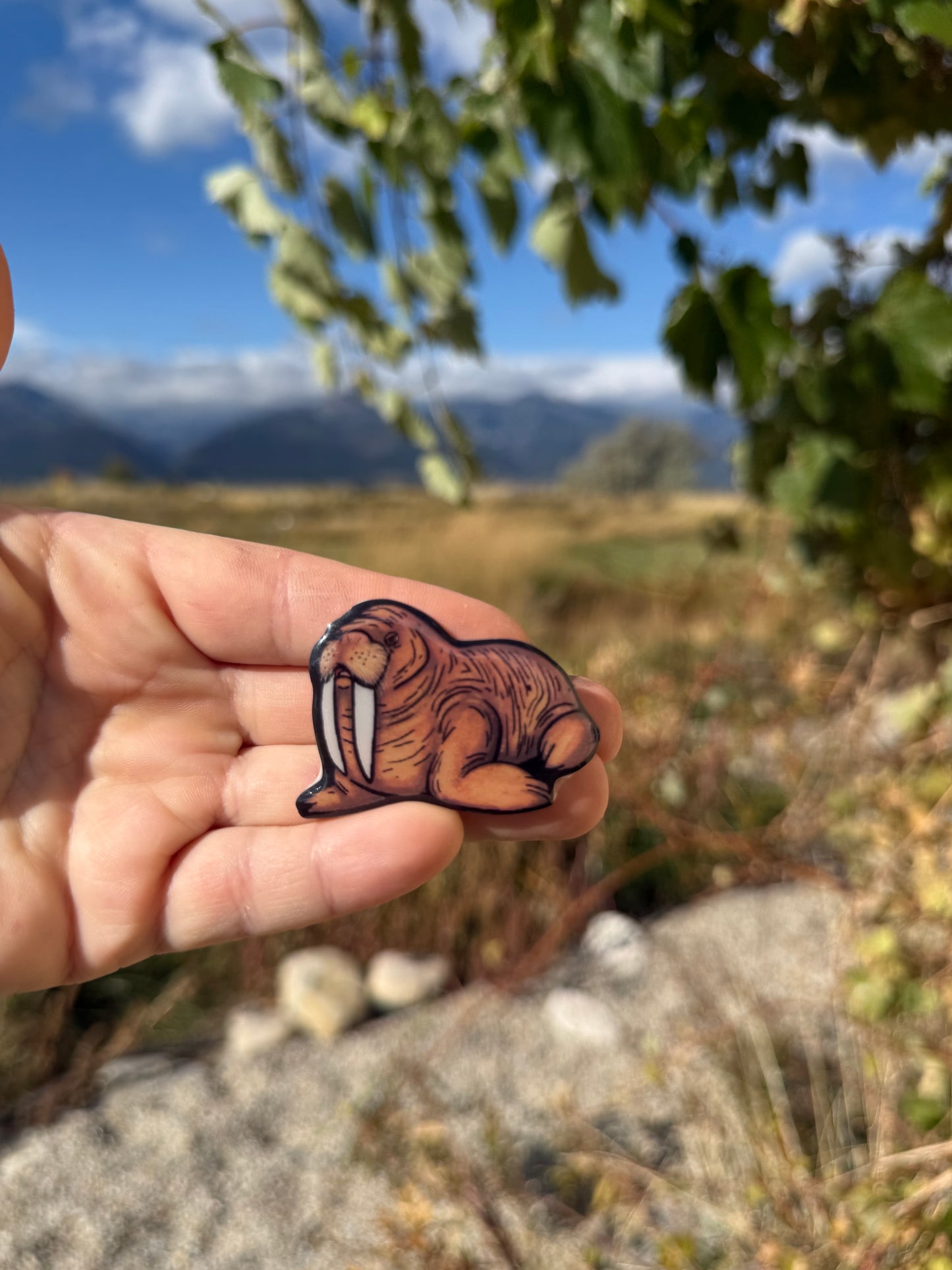 Walrus Magnet