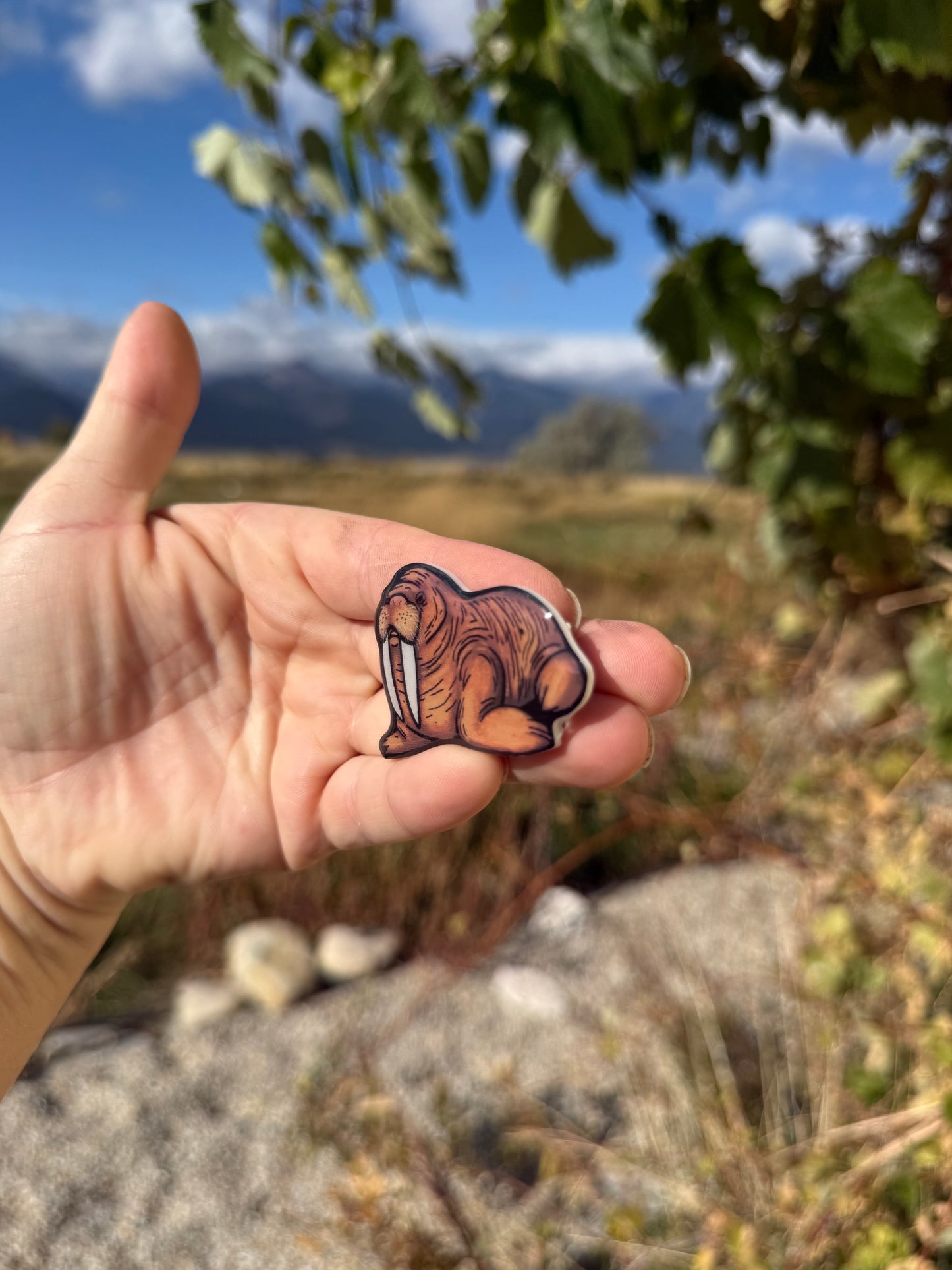 Walrus Magnet