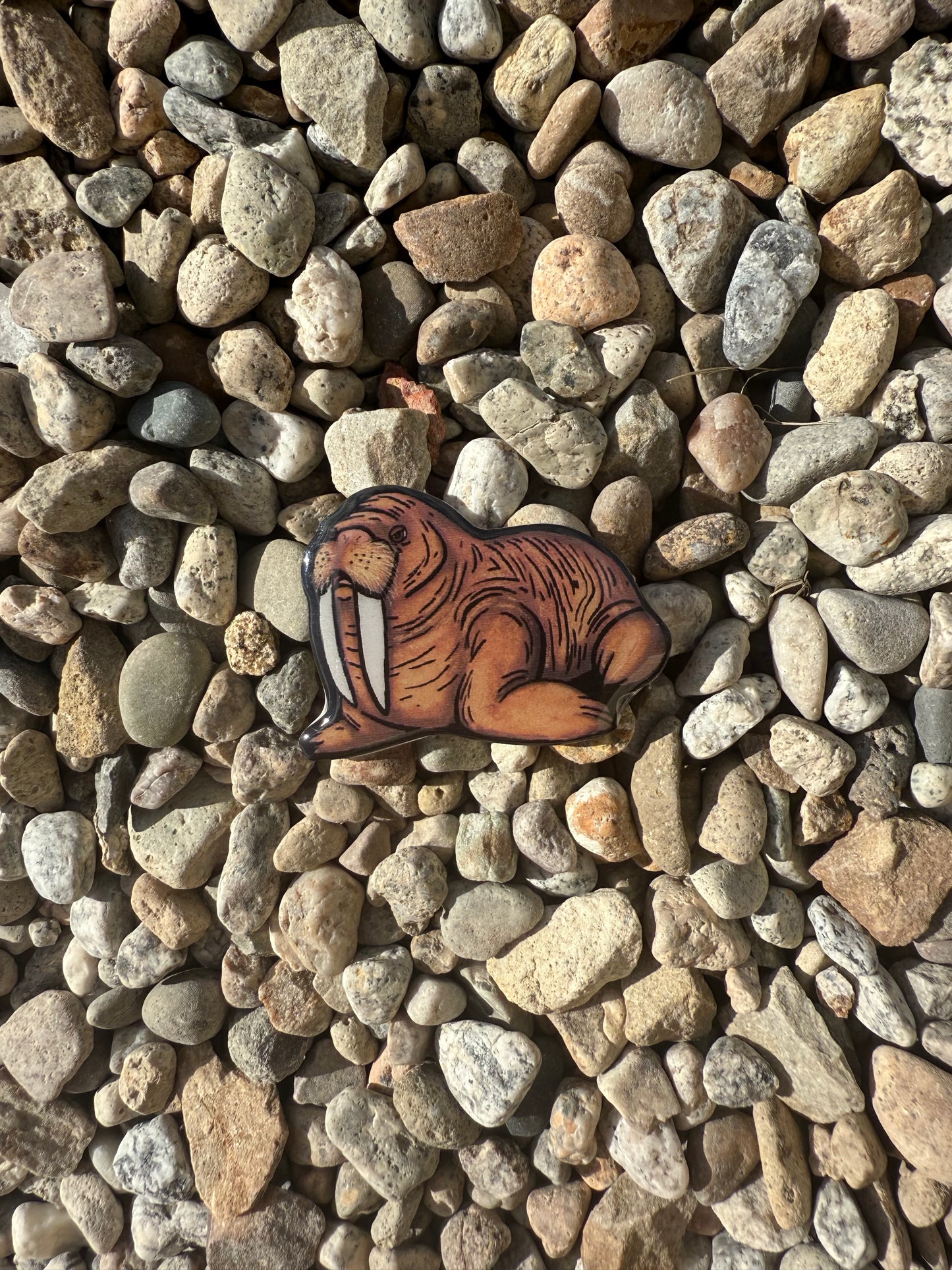 Walrus Magnet