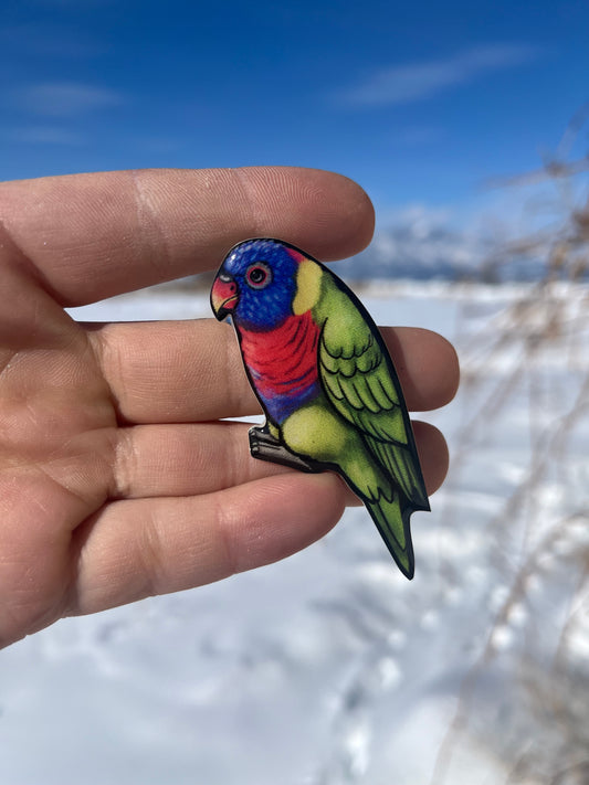 Handcrafted Rainbow Lorikeet Magnet