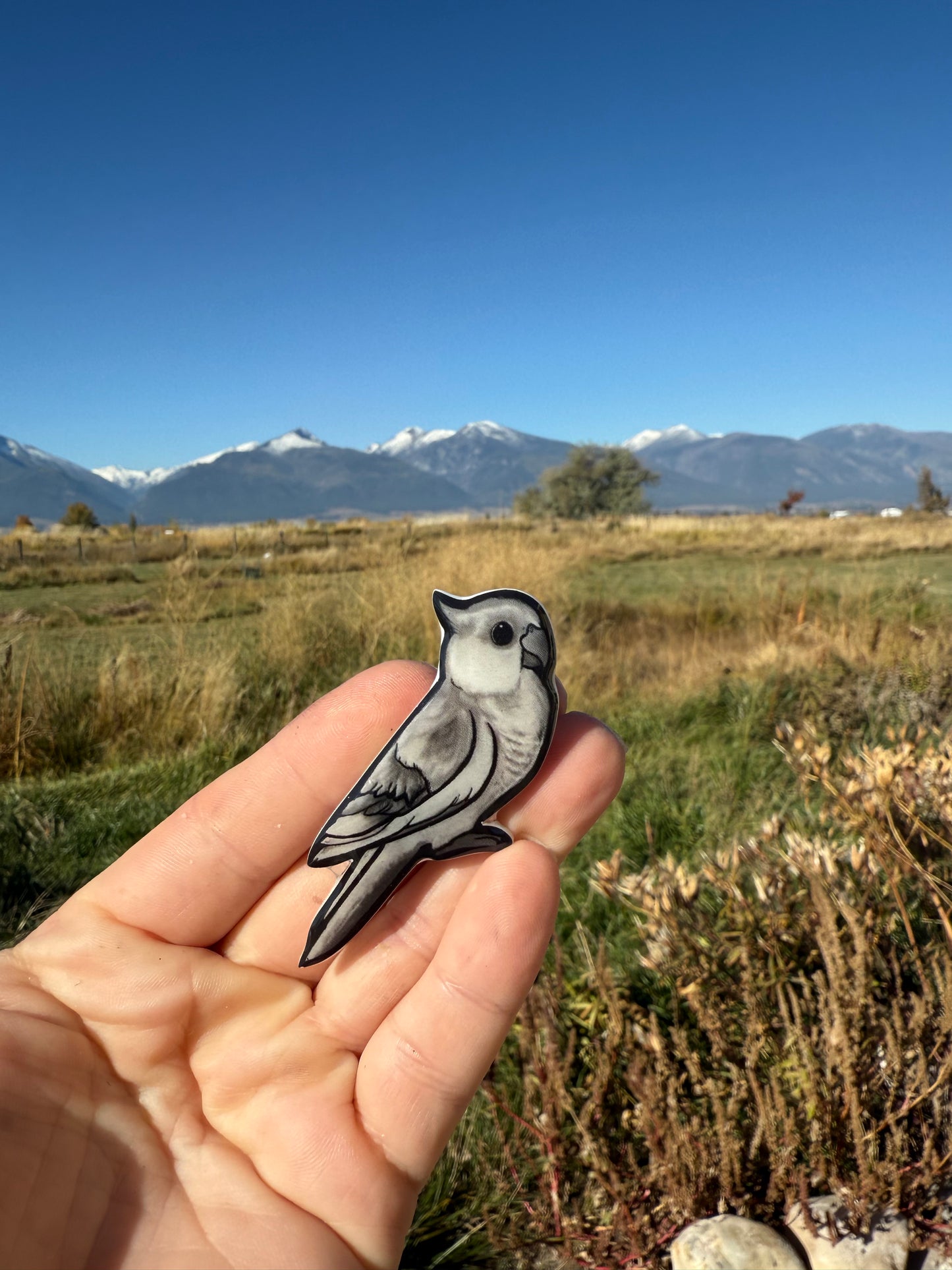Handcrafted Grey Cockatiel Magnet