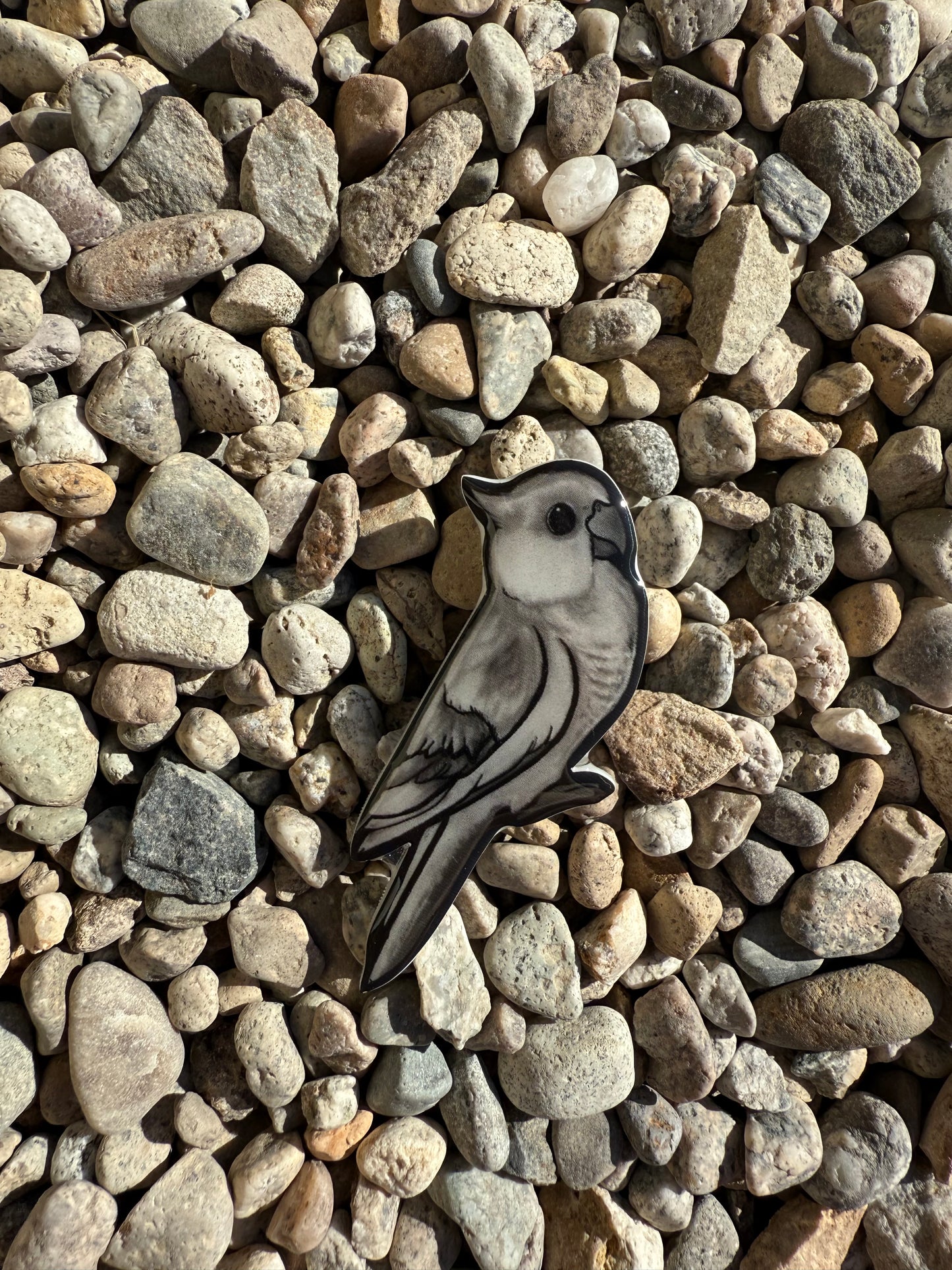 Handcrafted Grey Cockatiel Magnet