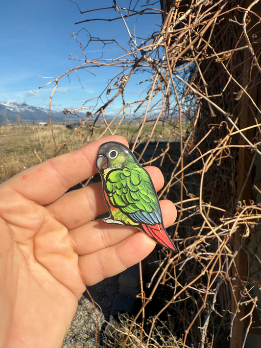 Handcrafted Green Cheeked Conure Magnet