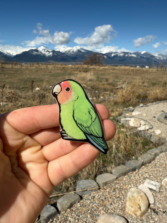 Handcrafted Rosy-Faced Lovebird Magnet