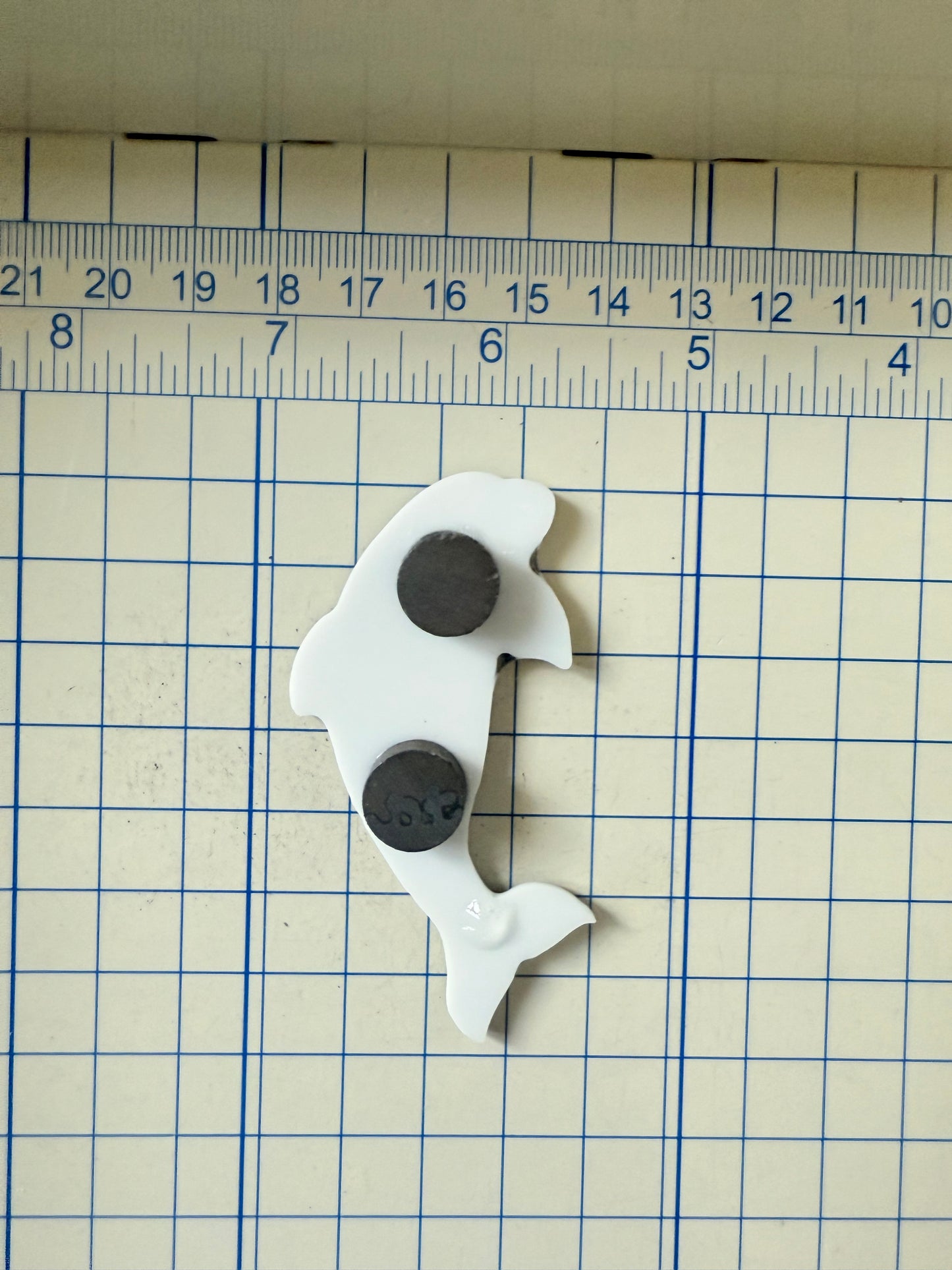 Bottlenose Dolphin Magnet: