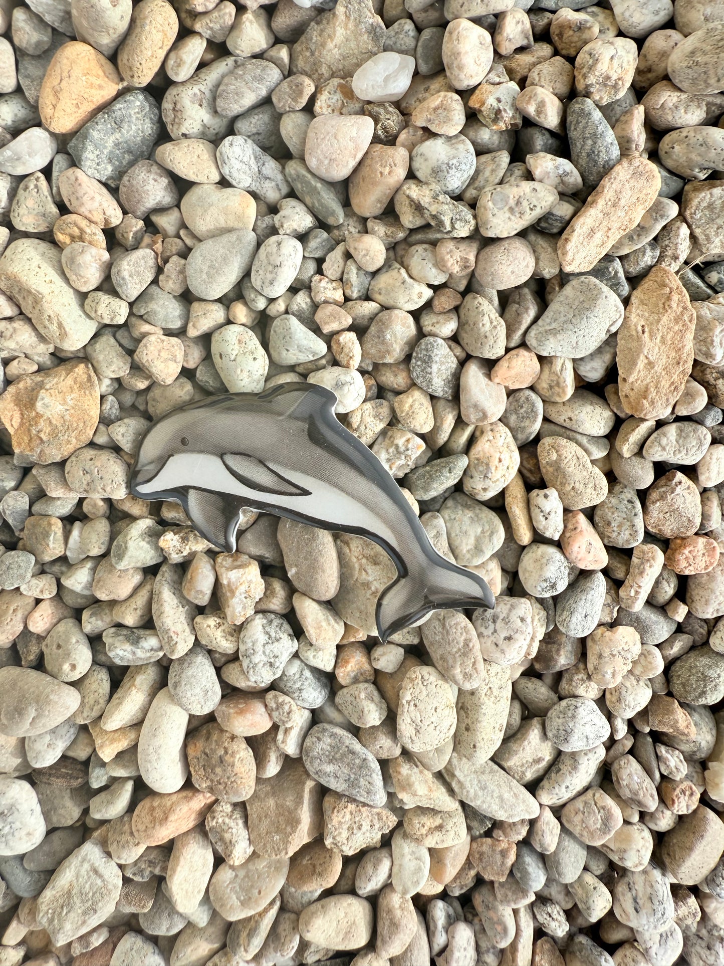 Bottlenose Dolphin Magnet: