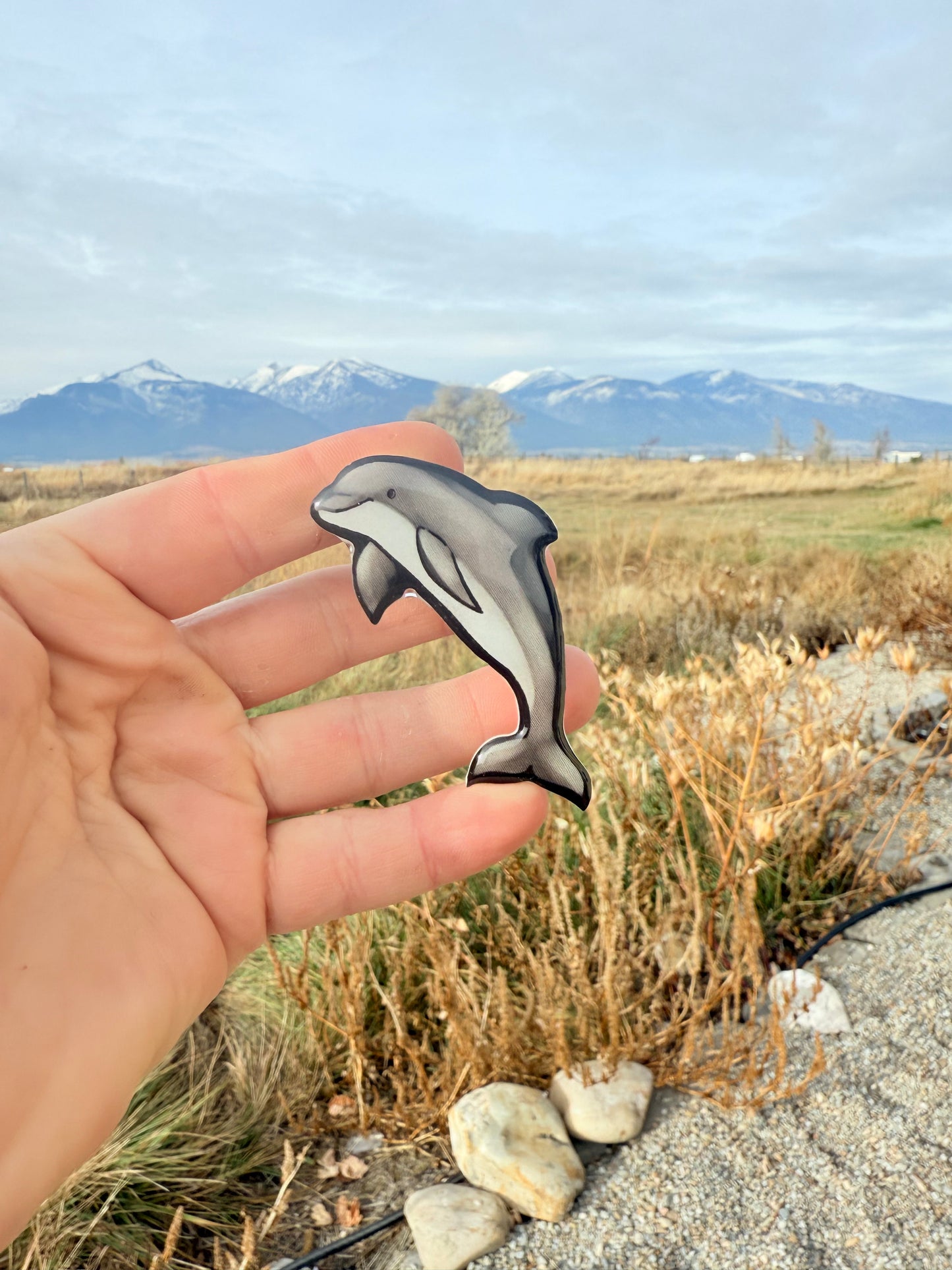 Bottlenose Dolphin Magnet: