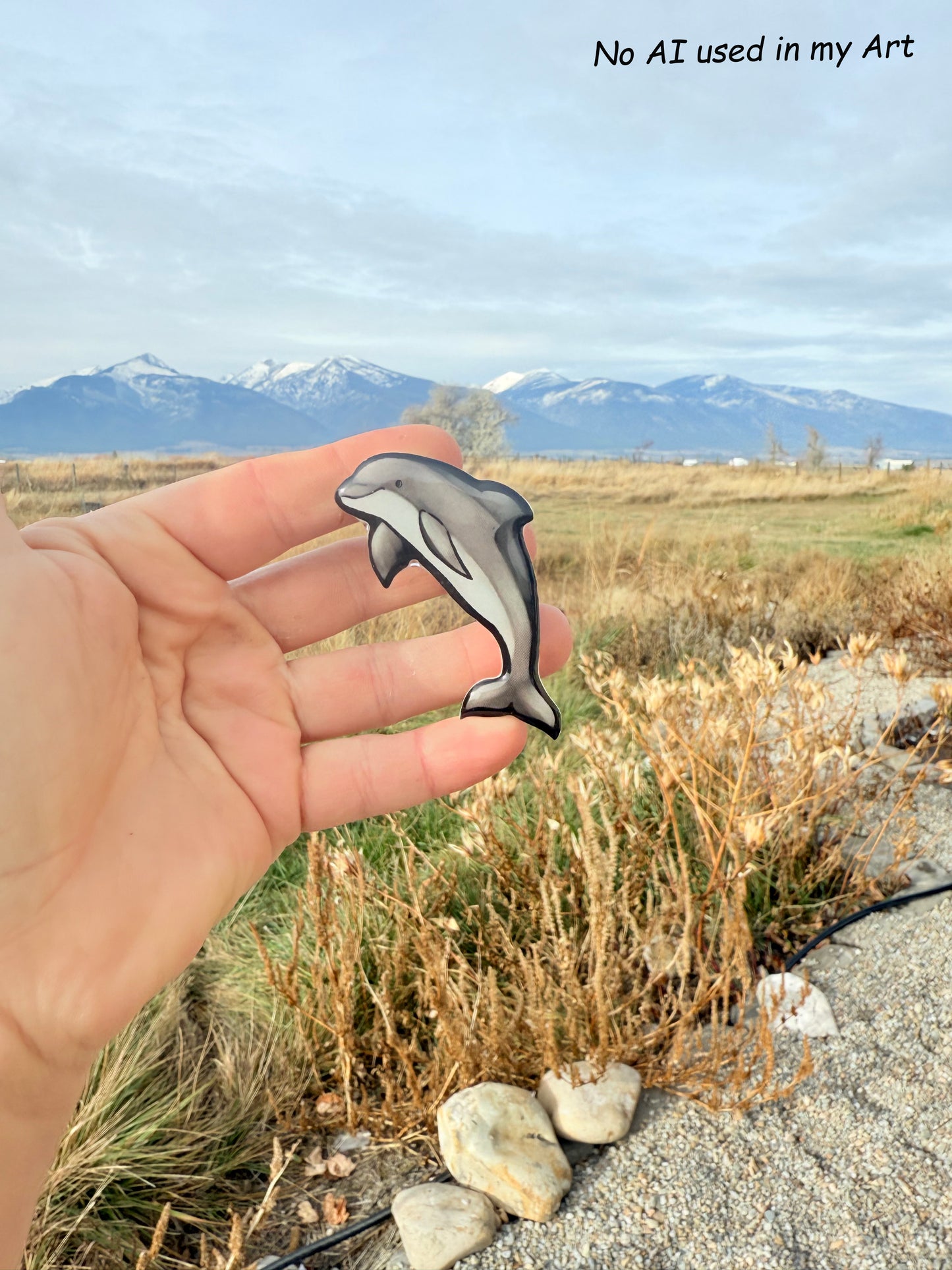 Bottlenose Dolphin Magnet: