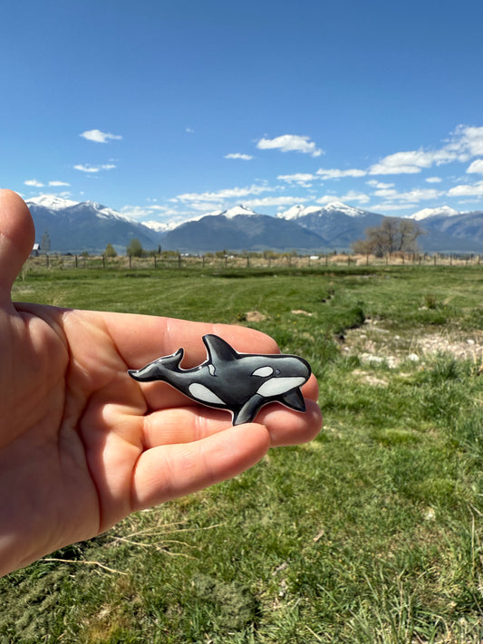 Orca Killer Whale Magnet