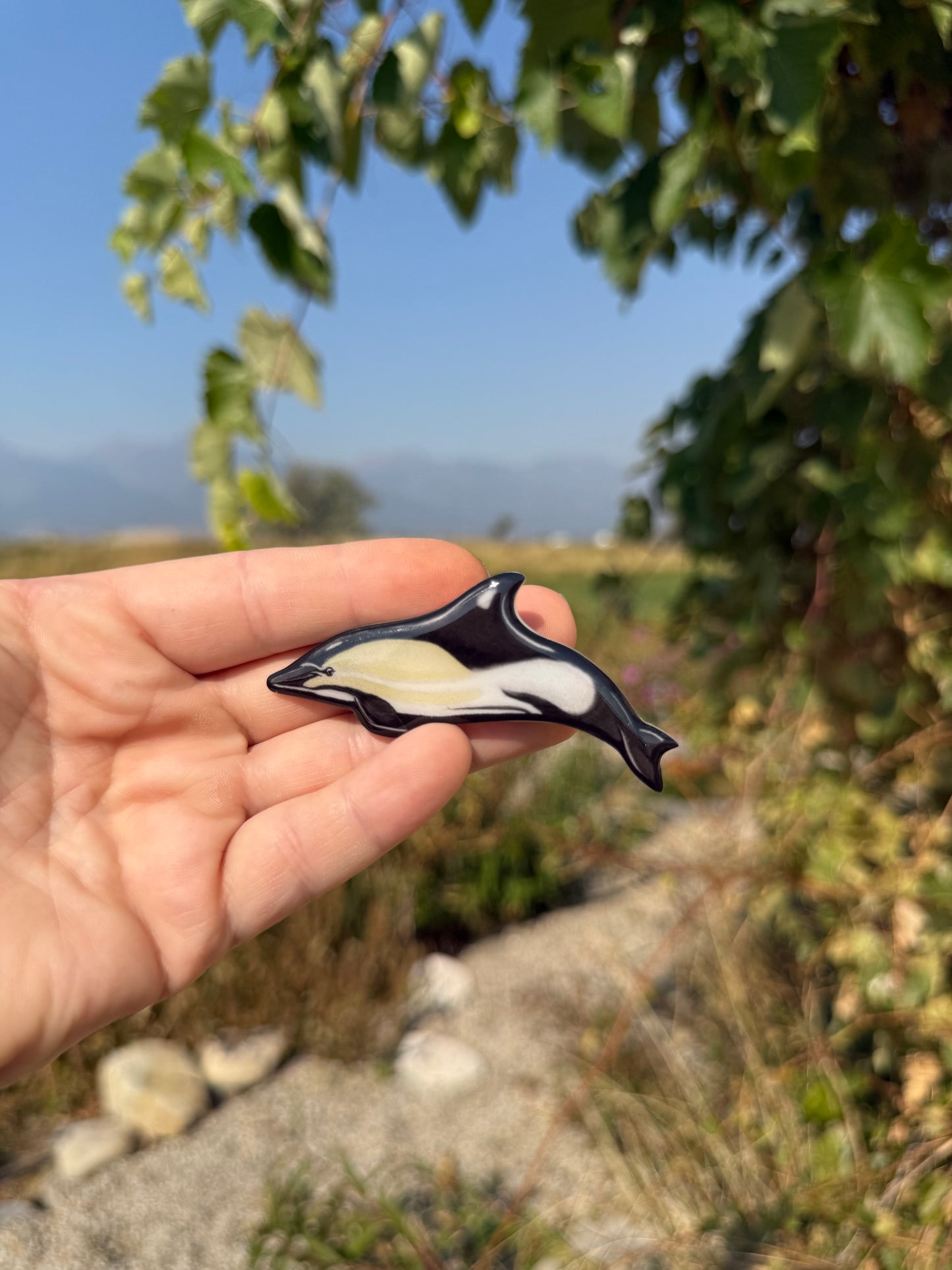 Common Dolphin Magnet
