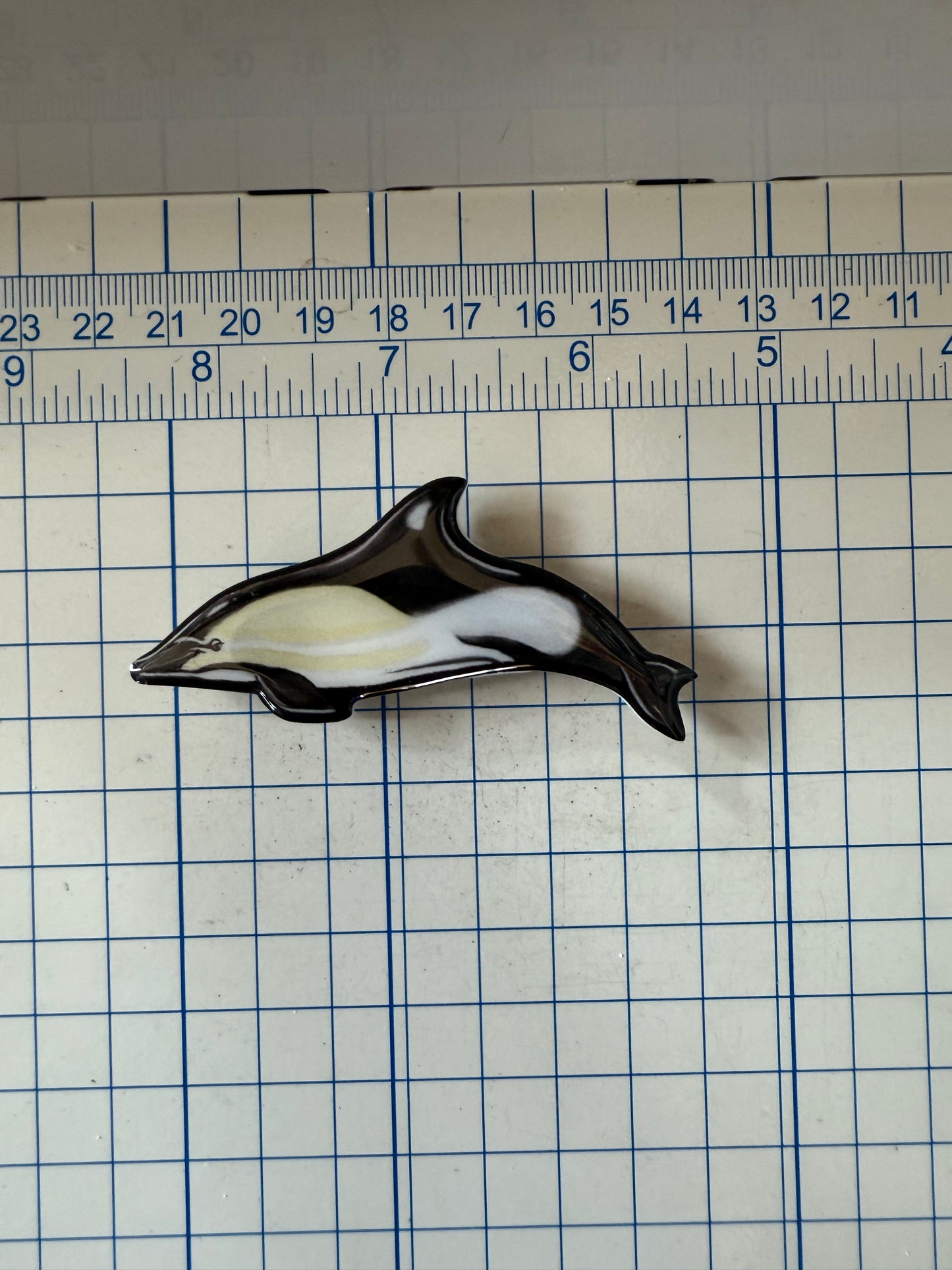 Common Dolphin Magnet