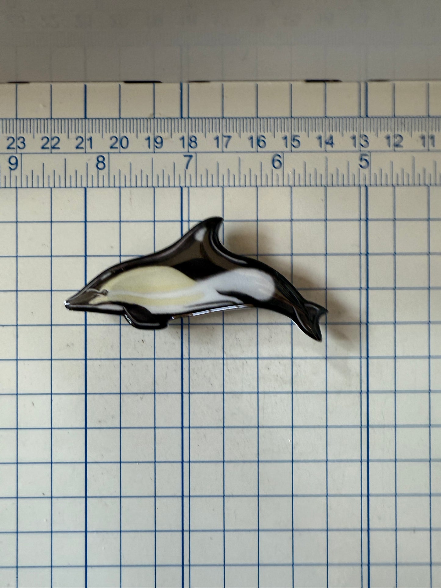 Common Dolphin Magnet